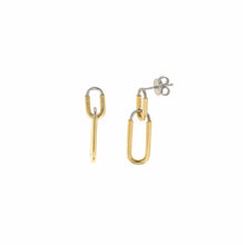 Load image into Gallery viewer, EARRING SILVER 925 PLATED GOLD AND RHODIUM
